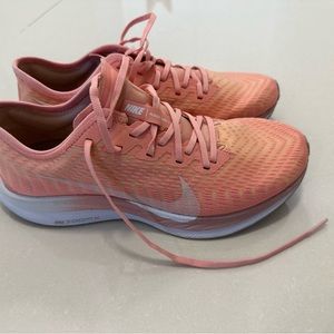 Nike Pegasus Turbo 2